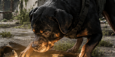 A scavenger dog searches for supplies in an abandoned city.